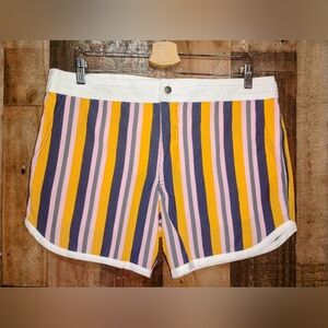 Vibrant Striped Athletic Shorts for Men